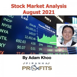 Stock Market Analysis August 2021