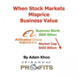 When Stock Markets Misprice Business Value