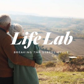LifeLab | Breaking  the Stress Cycle – Healthy Glow Essentials